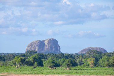 Dağları ve otlayan hayvanları olan güzel Sri Lanka manzarası