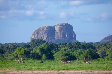 Dağları ve otlayan hayvanları olan güzel Sri Lanka manzarası
