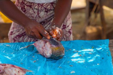 Toamasina, Madagaskar. 18 Ekim 2023. Yerel pazarda taze balık yiyecekler. Kadınlar taze balık temizler ve satar. Eller ve parçalar odak noktasında. Yerel aroma.