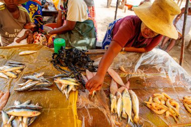 Toamasina, Madagaskar. 18 Ekim 2023. Yerel pazarda taze balık yiyecekler. Kadınlar taze balık temizler ve satar. Eller ve parçalar odak noktasında. Yerel aroma.