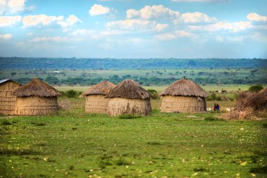 Arusha, Tanzanya, Afrika. 3 Şubat 2022 'de Afrika köyünde yaşam. Afrika seyahati. Çimen çatılı yuvarlak kil evler, Maasai kabilesi için geleneksel.