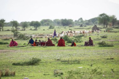 Arusha, Tanzanya, Afrika. 3 Şubat 2022 'de Afrika köyünde yaşam. Afrika seyahati. Geleneksel elbiseli maasai erkekleri dışarıda otururlar. Onların yanında büyük bir sürü otlar.