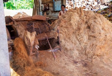 Kalutara, Sri Lanka 09 Şubat 2023.Geleneksel süreç ile hindistan cevizi coir ip yapımı .özel küçük manufactory halat üretimi için Hindistan cevizi kabukları kabukları