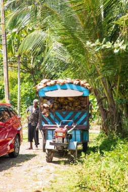 Kalutara, Sri Lanka 09: 02. 2023.coir halatı geleneksel işlem yapıyor.Hindistan cevizi kabuklarından halat üretimi için özel küçük manufactory. İşlem için hindistan cevizi kabuğu taşıyan küçük bir kamyon.