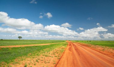 Afrika 'da savana' da güzel bir manzara. Doğa geçmişi. Afrika seyahati ve vahşi hayvanlar konsepti