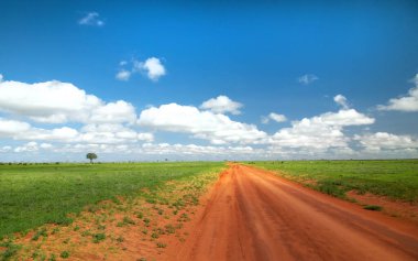 Afrika 'da savana' da güzel bir manzara. Doğa geçmişi. Afrika seyahati ve vahşi hayvanlar konsepti