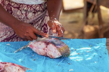 Toamasina, Madagaskar. 18 Ekim 2023. Yerel pazarda taze balık yiyecekler. Kadınlar taze balık temizler ve satar. Eller ve parçalar odak noktasında. Yerel aroma.