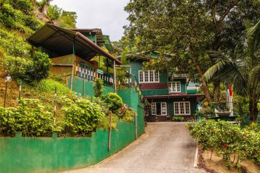 Kandy Yolu, Sri Lanka. 10.02.2023, Sri Lanka Kandy yolu Geragama 'da terk edilmiş alp çayı çiftliği.