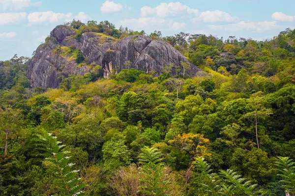Sri Lanka Paisajes Naturaleza Fondo Hermosas Montañas Cubiertas Verdes Bosques —  Fotos de Stock
