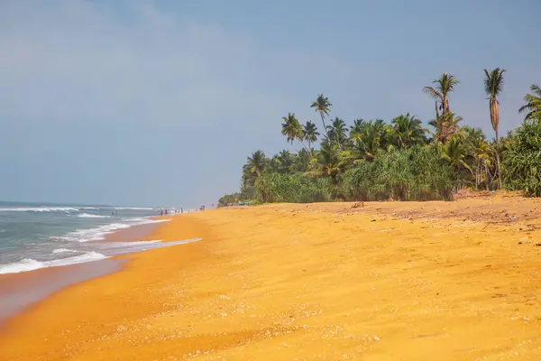 Wunderschöner Ockerfarbener Strand Sri Lanka Menschenleere Küste Des Indischen Ozeans — Stockfoto