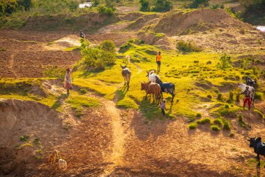 Nişanlım Madagaskar 'da. 21 Ekim 2023. Madagaskar yolları. Fianarantsoa 'dan küçük köylere giden yol, yol boyunca evler, çiftlik hayvanları, pirinç tarlaları, günlük Malagasy