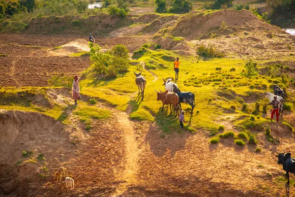 Nişanlım Madagaskar 'da. 21 Ekim 2023. Madagaskar yolları. Fianarantsoa 'dan küçük köylere giden yol, yol boyunca evler, çiftlik hayvanları, pirinç tarlaları, günlük Malagasy