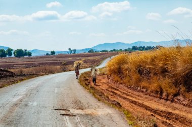 Antsirabe, Madagaskar 19 Ekim 2023. Morondava 'dan Antsirabe' ye giden yol Madagaskar 'ın ortasındaki boş otlaklar ve köyden geçiyor.