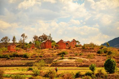 Nişanlım Madagaskar 'da. 21 Ekim 2023. Madagaskar yolları. Fianarantsoa 'dan küçük köylere giden yol, yol boyunca evler, çiftlik hayvanları, pirinç tarlaları, günlük Malagasy