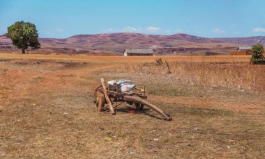 Antsirabe bölgesi, Madagaskar. 20 Ekim 2023. Madagaskar yolları. Antsirabe 'den küçük köylere, hayvanlara, tarlanın ortasında atsız ve insansız eski bir arabaya giden yol.