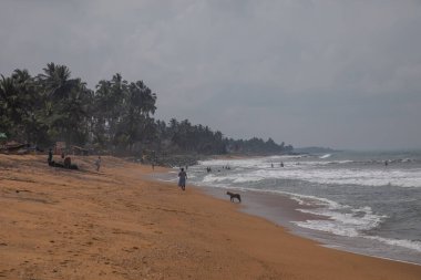 Sri Lanka 'daki güzel Ocher plajı. Parlak turuncu kumlu Hint Okyanusu 'nun ıssız kıyıları. Geleneksel sıradan yerel