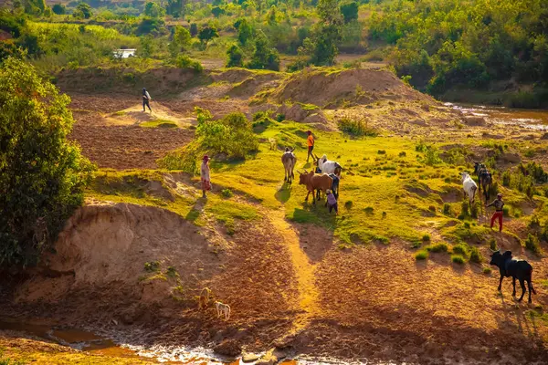 Nişanlım Madagaskar 'da. 21 Ekim 2023. Madagaskar yolları. Fianarantsoa 'dan küçük köylere giden yol, yol boyunca evler, çiftlik hayvanları, pirinç tarlaları, günlük Malagasy