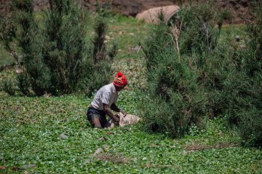 Antananarivo, Madagaskar 07 Ekim 2023 şehir manzarası, Tana, Madagaskar 'ın başkenti. Madagaskar 'ın fakir başkenti ve en büyük şehrinin insanları ve sokakları. Kötü huylu günlük hayat