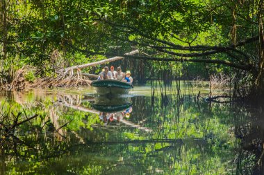 Sri Lanka, 02 numara. 02 numara. Teknede cep telefonu olan 2023 turist grubu, Sri Lanka mangrov yağmur ormanlarında turneye çıktılar..