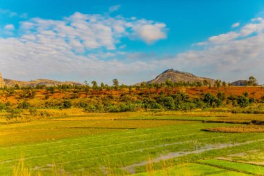 Madagaskar yolu boyunca uzanan güzel manzaralı tepeler ve dağlar güneşli gün batımı. Uzaktan görülebilen küçük evler. Batan güneşte toprak. Genç bitkilerle dolu pirinç tarlaları.