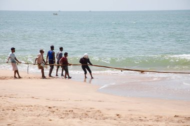 Unawatuna, Sri Lanka 09 Şubat 2023 'te farklı renklerde yaz kıyafetleri giyen bir grup adam balıkçıların Güney Sri Lanka sahilindeki büyük balık ağını çekmelerine yardım ediyor. Sıkı takım çalışması..