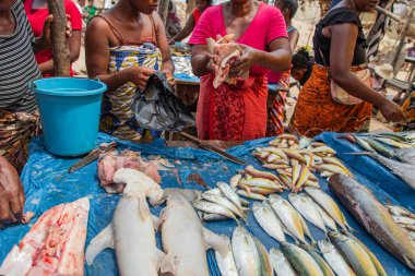 Toamasina, Madagaskar. 18 Ekim 2023. Yerel pazarda taze balık yiyecekler. Kadınlar taze balık temizler ve satar. Eller ve parçalar odak noktasında. Yerel aroma.