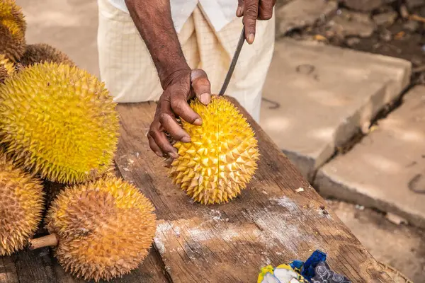 Olgun sarı durian meyveleri ahşap tezgahın üzerinde katlanmış satılıktır. Sri Lanka 'nın geleneksel meyveleri. Erkek elleri olgun durian meyvesini ikiye bölüyor.