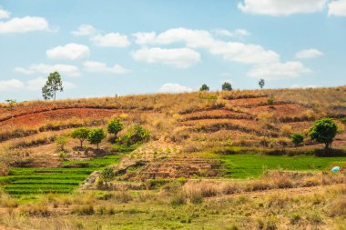 Tipik Madagaskar manzarası. Ana yol boyunca Vohiposa yakınlarındaki küçük tepelerde yeşil ve sarı pirinç tarlaları. yeşil çimen ve parlak toprak