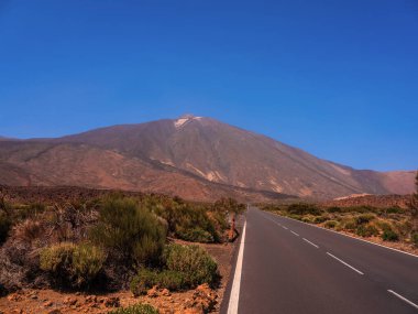 Tenerife 'de arka planda bir sürü kaya ve güzel dağ manzarası olan bir yer. Tenerife 'nin volkanik manzaraları