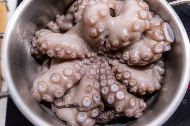 Pişirme işlemi sırasında hafif mutfakta, modern siyah indüksiyon fırınında haşlanmış çiğ ahtapot..