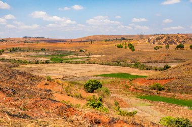 Tipik Madagaskar manzarası. Ana yol boyunca Vohiposa yakınlarındaki küçük tepelerde yeşil ve sarı pirinç tarlaları. yeşil çimen ve parlak toprak