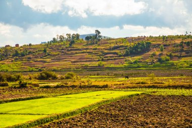 Nişanlım Madagaskar 'da. 21 Ekim 2023. Madagaskar yolları. Fianarantsoa 'dan küçük köylere giden yol, yol boyunca evler, çiftlik hayvanları, pirinç tarlaları, günlük Malagasy