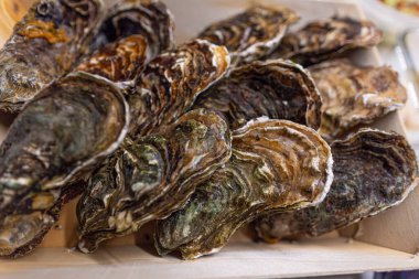 Tahta bir kutuda bir düzine taze, kapalı istiridye yatıyor. Mağaza ve pazarlarda geleneksel satış biçimi