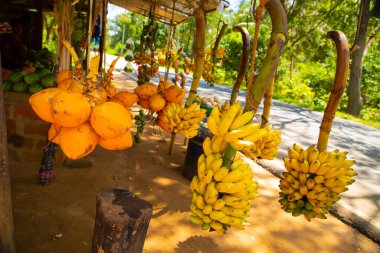 Sri Lanka 'da yol kenarı meyve tezgahı muz ve diğer meyveler satıyor.