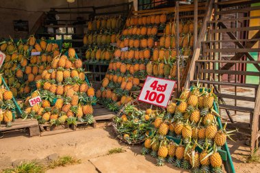 Sri Lanka 'daki bir manavda büyük bir olgun ananas yığını satışa sunuluyor..