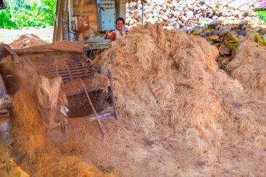 Kalutara, Sri Lanka 09 Şubat 2023.Geleneksel süreç ile hindistan cevizi coir ip yapımı .özel küçük manufactory halat üretimi için Hindistan cevizi kabukları kabukları