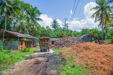 Kalutara, Sri Lanka 09 Şubat 2023.coir halatı. Hindistan cevizi kabuklarından halat üretimi için geleneksel işlem. İşlem için hindistan cevizi kabuğu taşıyan küçük bir kamyon.