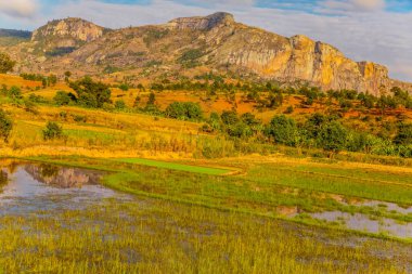 Günbatımında güneşli bir günde Madagaskar yolu boyunca uzanan tepelerin ve dağların güzel manzarası. Küçük evler uzaktan görülebilir. Batan güneşte toprak. Genç bitkilerle dolu pirinç tarlaları