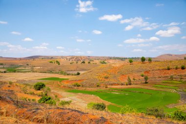 Tipik Madagaskar manzarası. Ana yol boyunca Vohiposa yakınlarındaki küçük tepelerde yeşil ve sarı pirinç tarlaları. yeşil çimen ve parlak toprak