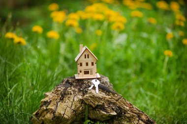 Küçük ahşap oyuncak ev ve anahtarlar, günümüzün modeli yeşil parlak bahar çimenleri seçici odak. yeni ev inşaatı ve satış konsepti