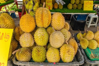 Bir grup farklı türde durian geleneksel Asya ticaret çadırında satılmaya hazır bir tezgahta yatıyor.