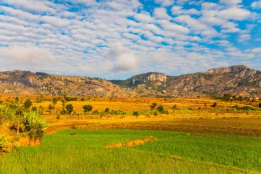 Günbatımında güneşli bir günde Madagaskar yolu boyunca uzanan tepelerin ve dağların güzel manzarası. Küçük evler uzaktan görülebilir. Batan güneşte toprak. Genç bitkilerle dolu pirinç tarlaları