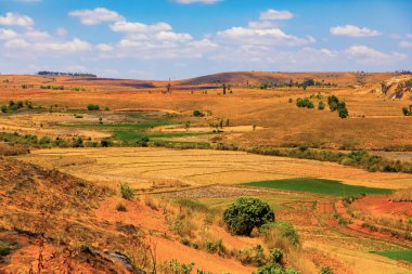 Tipik Madagaskar manzarası. Ana yol boyunca Vohiposa yakınlarındaki küçük tepelerde yeşil ve sarı pirinç tarlaları. yeşil çimen ve parlak toprak