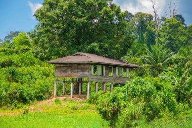 Sandakan, Sabah, Malezya 17.08.2024 geleneksel Malezya evi. Etrafta küçük bir çiftlik ve gölgede evin altında bir araba için yer var.