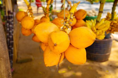 Kalutara, Sri Lanka, 08 Şubat 2023. Sri Lanka 'da yol kenarı meyve tezgahı muz ve diğer meyveler satıyor.