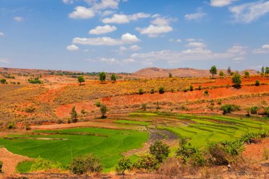 Tipik Madagaskar manzarası. Ana yol boyunca Vohiposa yakınlarındaki küçük tepelerde yeşil ve sarı pirinç tarlaları. yeşil çimen ve parlak toprak