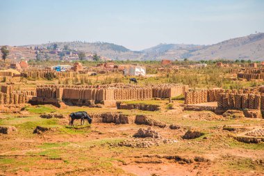 Antananarivo, Madagaskar 07 Ekim 2023 Tana, başkent Madagaskar, Fransızca adı Tananarive, Tana. Şehrin günlük hayatı. Şehrin dışında geleneksel tuğla ateşi