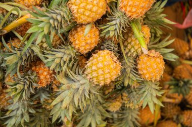 Sri Lanka 'nın başkentindeki merkez pazarda çeşitli sebze, meyve, tahıl ve kurutulmuş balık çeşitleri. Sulu çam yaprağı.