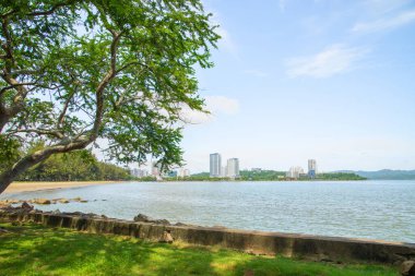 Kota Kinabalu, Sabah, Malezya 11.08.2024 Kota Kinabalu şehrinin manzarası. Modern binalar, camiler, set, çok katlı binalar