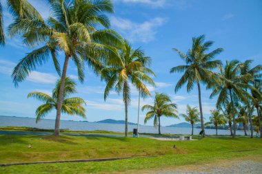 Kota Kinabalu, Sabah, Malezya 11.08.2024 Kota Kinabalu şehrinin manzarası. Kıyıdaki palmiye yolu